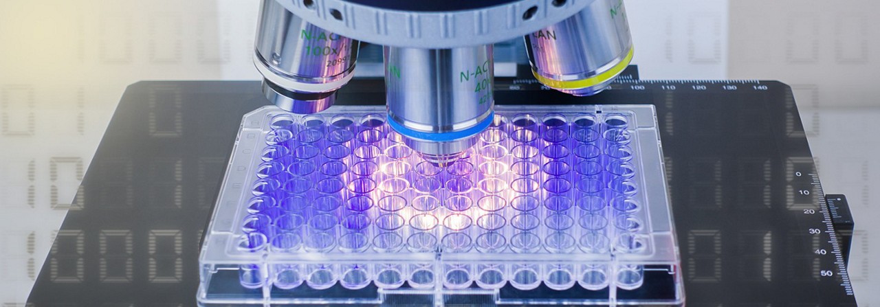 image of microscope